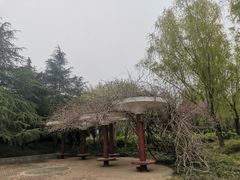 -洛阳市隋唐城遗址植物园