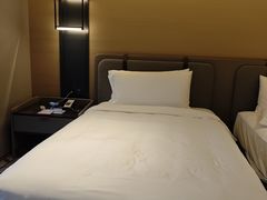 -新加坡瑞士史丹福酒店