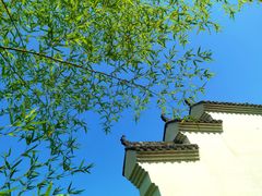 -大渡口区义渡公园