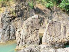 -广州白江湖森林公园