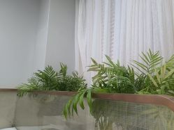 -悟空祛痘·诺奖技术专业店