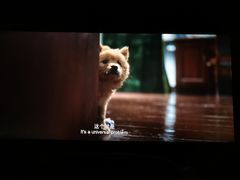 -嘉华国际影城(学清路店)