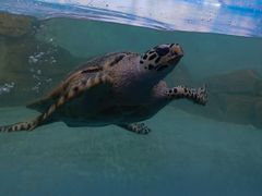 -常州海昌海洋探索馆