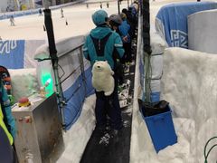 -绍兴启迪乔波冰雪世界