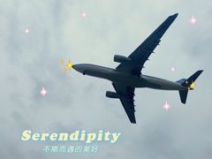 -空港花田景区