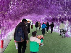 -绿野森林乐园冰雪季