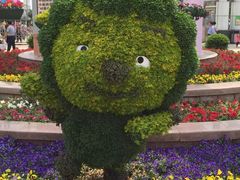 -石家庄市植物园