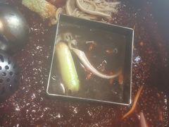 -红鼎坊·老成都火锅(新南门店)