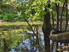 -玉渡山自然风景区