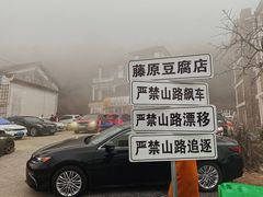 -江南天池