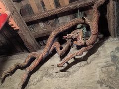 -张掖大佛寺景区