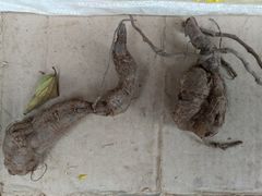 -金堂县云顶石城风景区