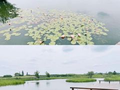 -良渚古城遗址公园