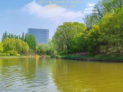 -大兴滨河森林公园