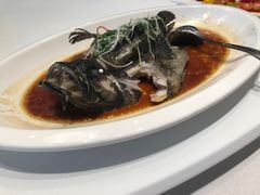 -粤江春·早茶·潮粤菜·宴会(罗湖宝能中心店)