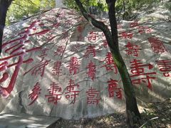 -沂蒙山旅游区龟蒙景区