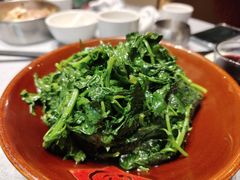 清炒菊叶-金哥私房菜馆(张府园总店)