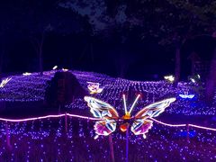 -观澜湖生态运动公社