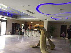 -和颐至尊酒店(北京望京798店)