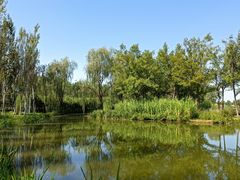 -东郊湿地公园