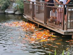 -大门水乡·顺德菜