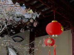 -上海醉白池公园