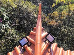 -水濂山森林公园