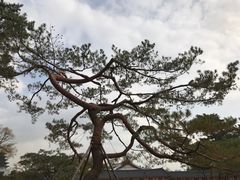 -景福宫
