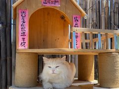 -小时光咖啡馆(开森度假森林店)