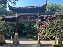 -杭州半山国家森林公园