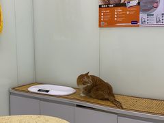 -中农大我爱我爱动物医院(甜水园店)