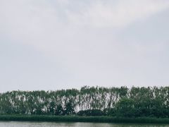 -大兴滨河森林公园