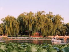 -后海公园