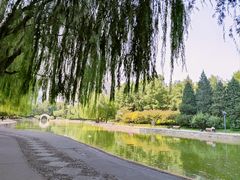 -团结湖公园