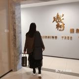 “燃树”就是品质