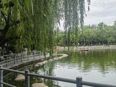 -莲湖公园