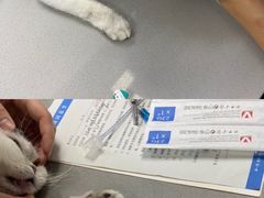 -爱侣宠医·鹦鹉专科·小型哺乳类·异宠专科(灵石路店)