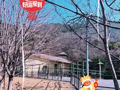 -无锡动物园·太湖欢乐园