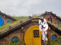 -武汉紫薇都市田园