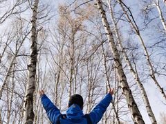 -塞罕坝国家级自然保护区