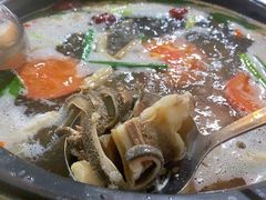 -七采菌园·石锅鱼野生菌火锅(环城北路店)