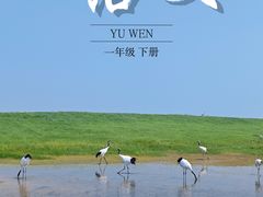 -黑龙江扎龙生态旅游区