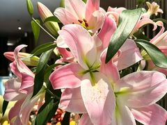 -东方棕泉·洗浴·按摩·美食国际水疗会所(福田店)