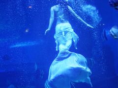 -石林冰雪海洋世界
