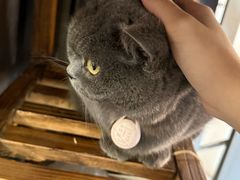 -春笙食堂.丼饭拉面寿司(GOGO新天地店)