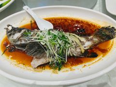 -大东海海鲜酒楼(渔人码头总店)