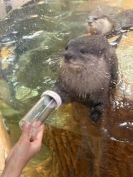 -Zoolung Zoolung动物主题公园(海信广场店)