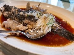 古法蒸老虎斑-利苑酒家(金宝店)