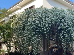 -悦哉·派对·草坪婚礼·围炉煮茶(三圣乡店)