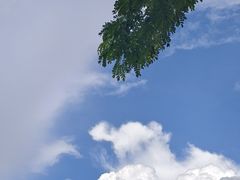-西双版纳傣族园